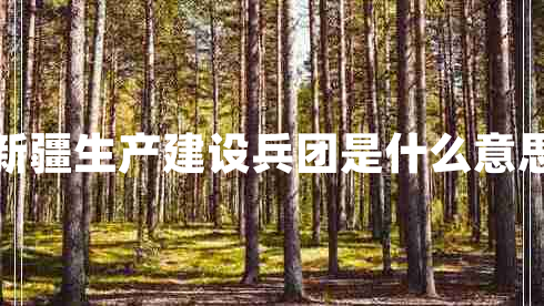 新疆生產(chǎn)建設(shè)兵團是什么意思