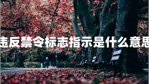 違反禁令標(biāo)志指示是什么意思