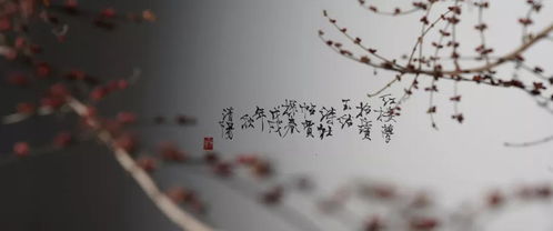 棹雪而來典故