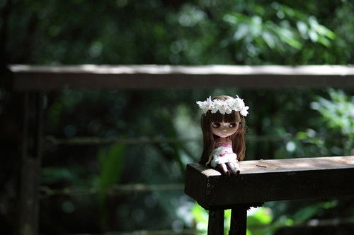 夢里殺人典故