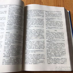 詩詞典故詞典