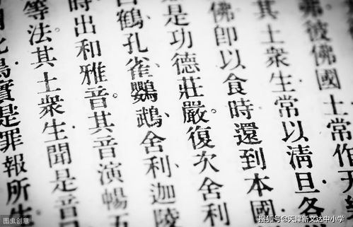 典故與成語的區(qū)別