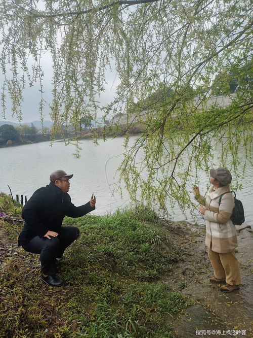 柳樹的典故