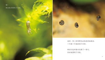關于生命的典故,關于生命的典故簡,關于生命的典故50字
