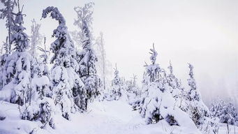 關(guān)于雪的典故