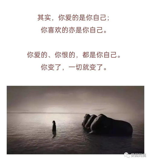 相見恨晚,典故