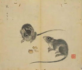 鼠無牙典故