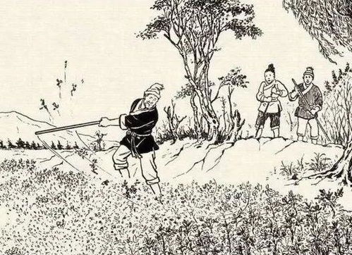 蘆葦,典故