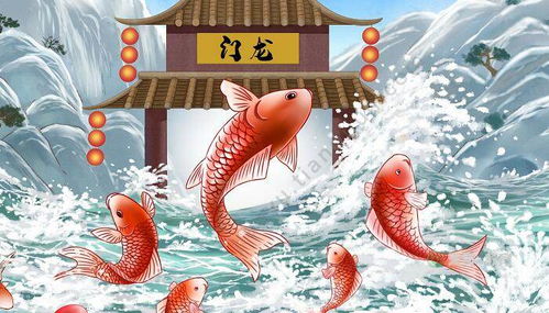 鯉魚,典故