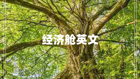 經(jīng)濟(jì)艙英文