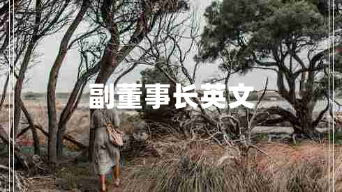 副董事長(zhǎng)英文