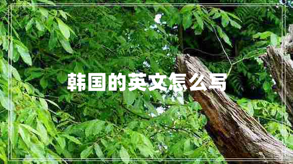 韓國的英文怎么寫