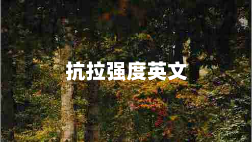 抗拉強(qiáng)度英文