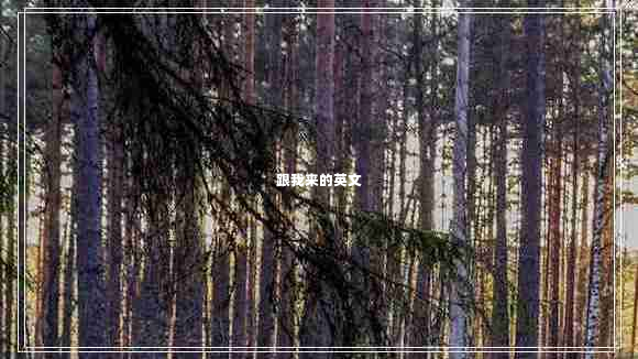 跟我來的英文