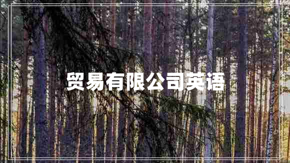 貿易有限公司英語