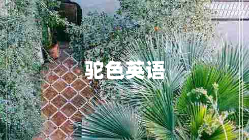 駝色英語
