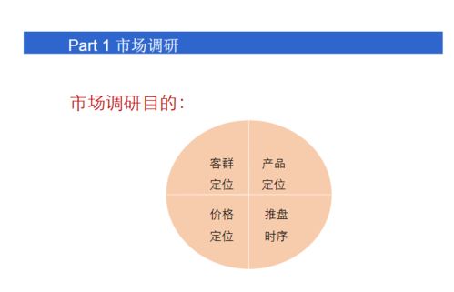 小產(chǎn)權(quán)房操盤策劃方案