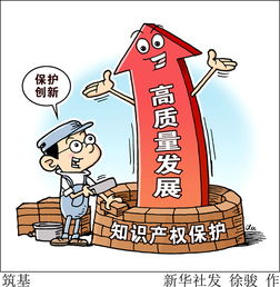 商業(yè)策劃方案野獸知識產(chǎn)權(quán)保護(hù)