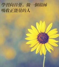 正能量句子經(jīng)典