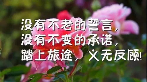 關于早上好的正能量的句子經(jīng)典語錄