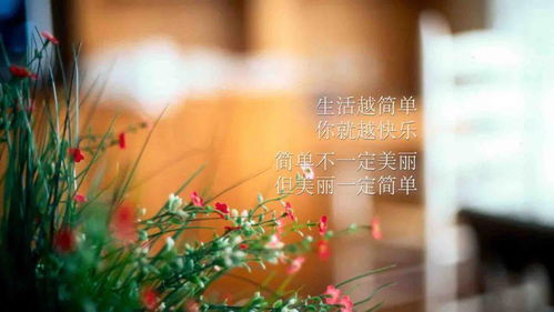 早上好勵志正能量句子,早上好的正能量句子帶,早上好發(fā)朋友圈的正能量句子和