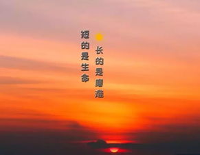 心向陽光正能量的簡短句子,生活陽光正能量的句子簡短,積極陽光正能量的句子簡短