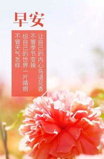 適合發(fā)朋友圈的正能量句子共勉
