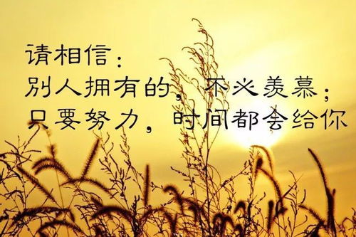 自己的,句子,能量