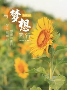 正能量感悟的經典句子,人生感悟正能量的經典句子,正能量的句子經典語句