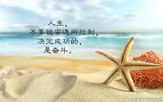 句子,能量,投資