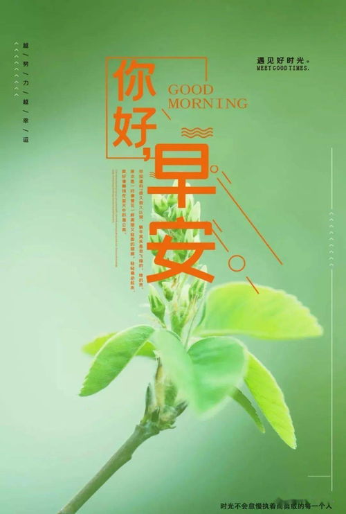 句子,能量,笑話,大全