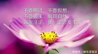 正能量的雞湯句子,正能量毒雞湯的句子,正能量激勵毒雞湯的句子