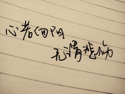 關(guān)于出貨的正能量句子