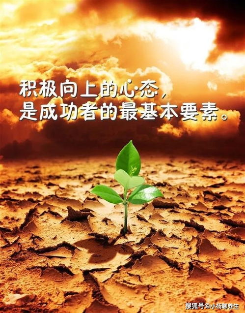 奮斗的正能量的句子經(jīng)典語句,青春奮斗的句子正能量,勵志奮斗正能量的句子經(jīng)典