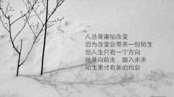 正能量語錄感悟人生的句子