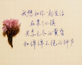 激勵(lì)孩子正能量的句子簡(jiǎn)短,生活陽(yáng)光正能量的句子簡(jiǎn)短,用在孩子身上正能量句子簡(jiǎn)短