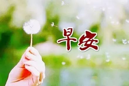 正能量陽光的長句子說說心情