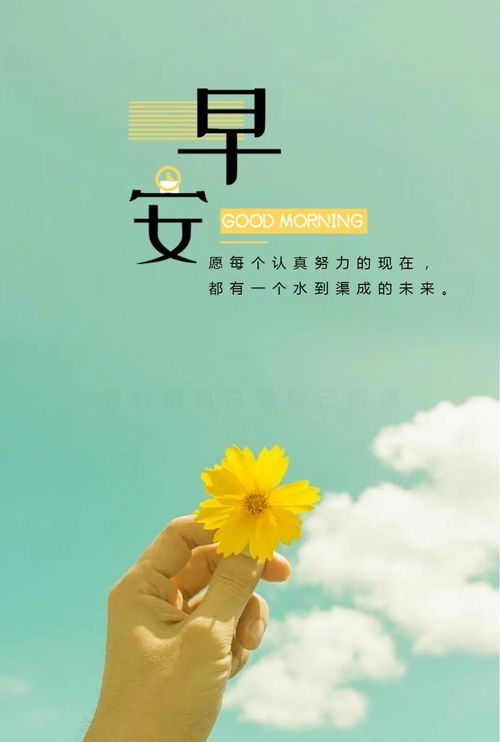 有正能量的早安句子說說心情短語