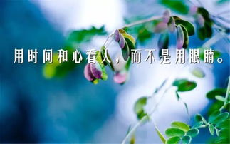 文案,句子,勵志,能量
