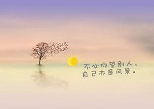 關于相遇的正能量句子
