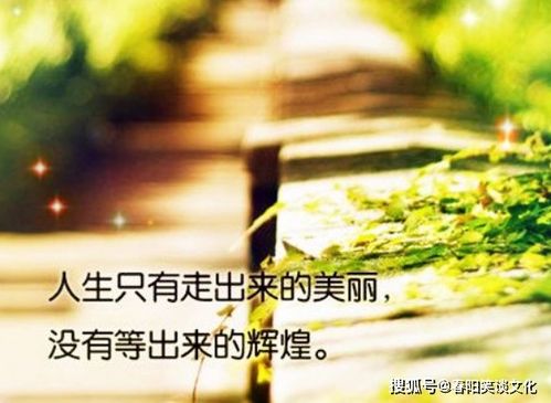 女人拼搏努力正能量的句子,女人努力積極正能量的句子,女人努力向上正能量的句子