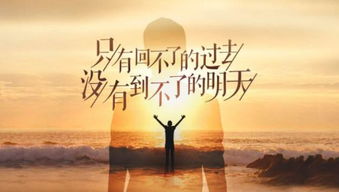 句子,能量,朋友