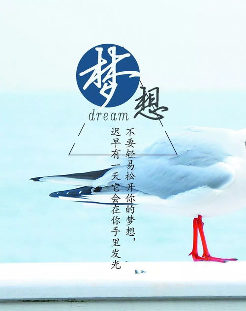 句子,能量,投資