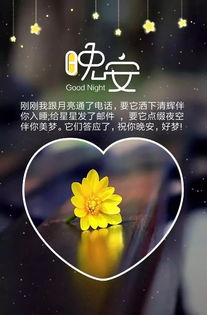 心情說說至自己正能量的句子