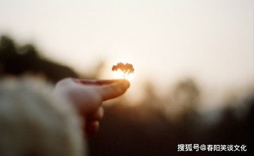 正能量的句子經(jīng)典語句說說,關(guān)于工作正能量的句子經(jīng)典,對工作正能量的句子經(jīng)典語句