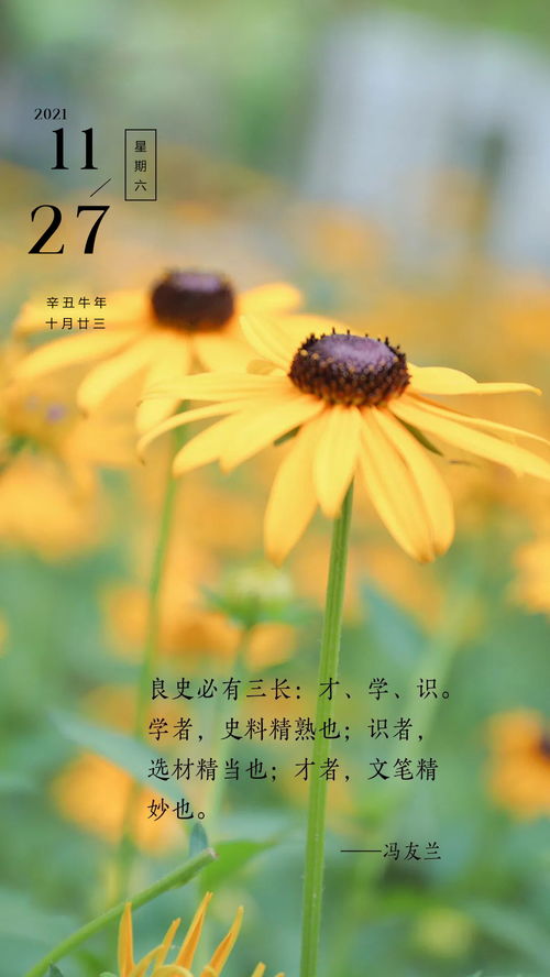 句子,勵(lì)志,早上好,能量