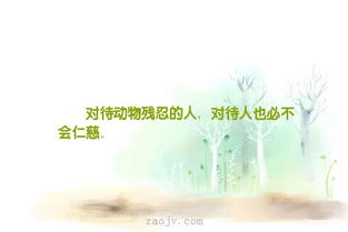 句子,災(zāi)難,能量,面對