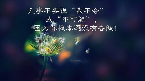 什么是社會(huì)正能量句子