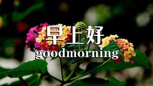 句子,養(yǎng)生,早上好,能量