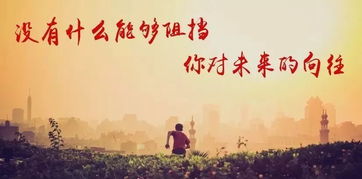 努力堅持工作的正能量句子,努力堅持正能量的句子經典語句,堅持了努力了就不后悔的正能量句子
